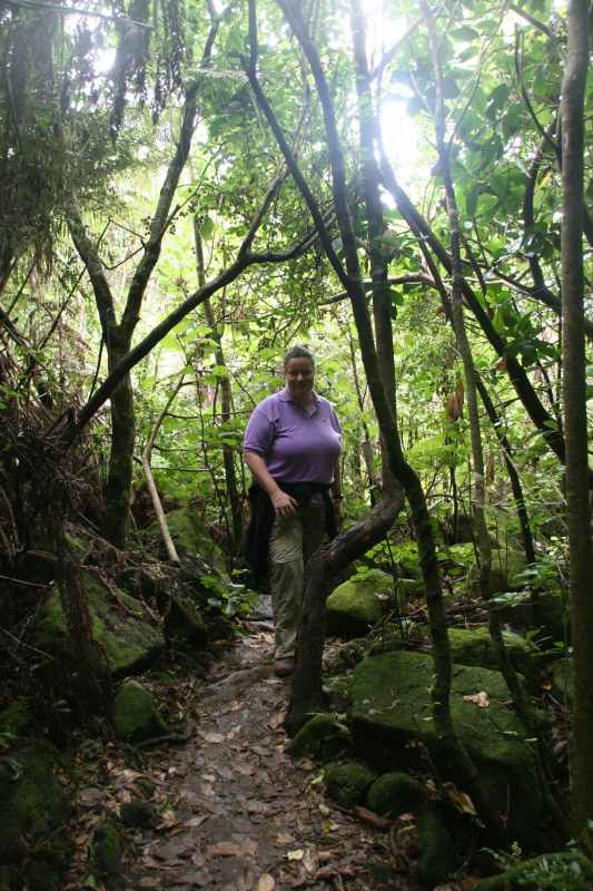 Nieuw-Zeeland 2011 - 0466